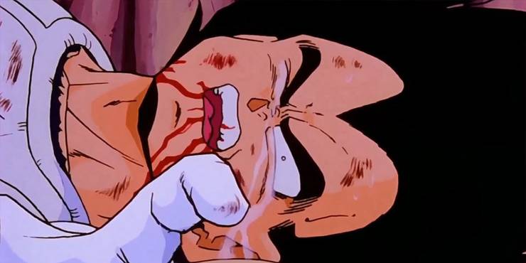 Dragon Ball 15 Things You Didnt Know About Beerus Dragon Ball 15 Things You Didnt Know About Beerus